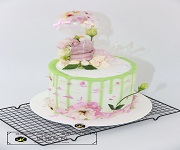 東莞塘廈蓮湖招聘面包中工、裱花中工，3500-4000，先到先得！