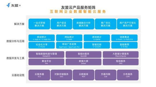 數(shù)據(jù)服務(wù)邁入云智能時(shí)代 友盟云為互聯(lián)網(wǎng)企業(yè)提供持續(xù)增長新動力
